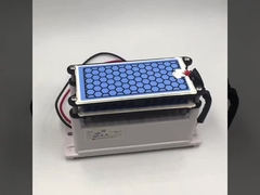 Fabricante Certificação CE novo gerador de ozônio 10g placa cerâmica dupla vida longa peças de ozônio