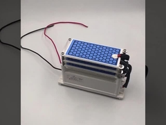 AC 220V 15g/h Placa cerâmica de ozono para máquina de desinfecção de ozono