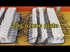 20g 8pcs Ozone Plate Gap Discharge Gerador de ozono cerâmico montado